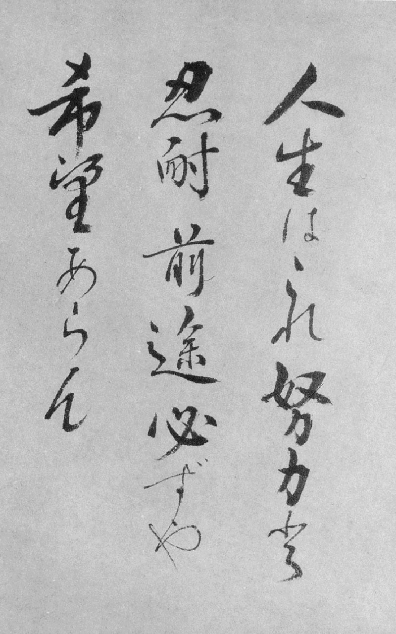 ミツヱ先生の書