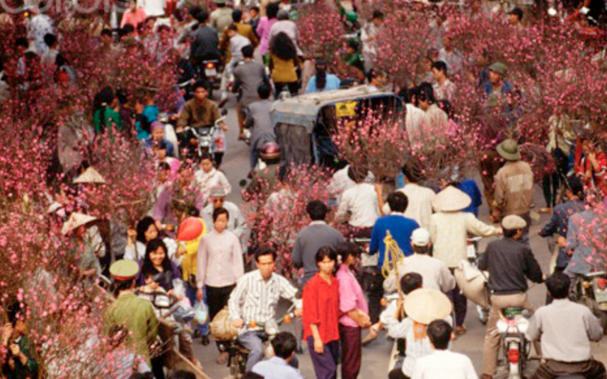 北部の梅木の市場