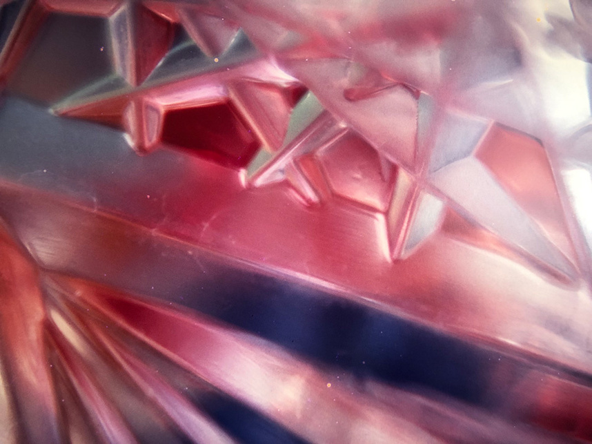 祖母がマクロレンズで撮影した写真　PHOTO BY SAYO FUKUDA