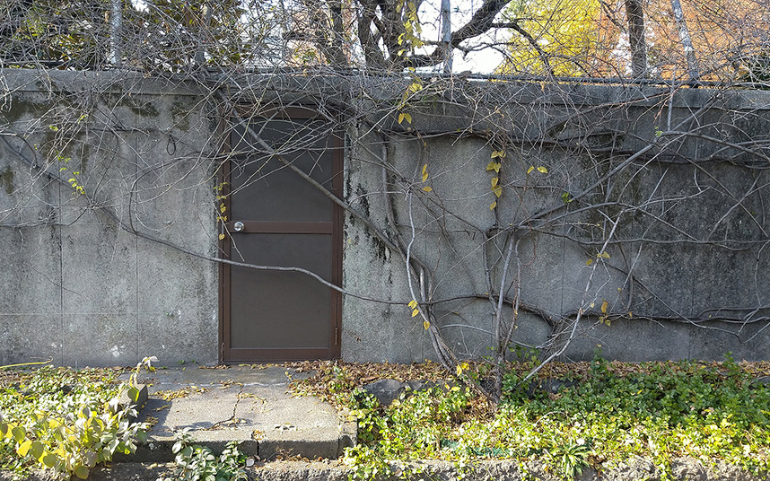 ツタで開けない無用扉