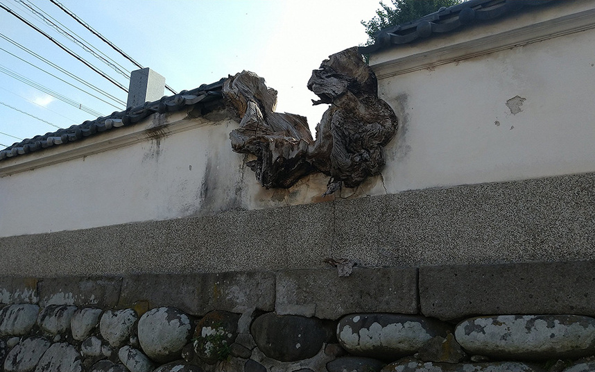 タイトル「進撃の」　（日田で発見しました。）