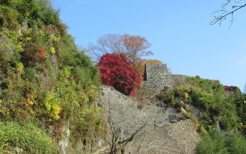 ⑩岡城跡
