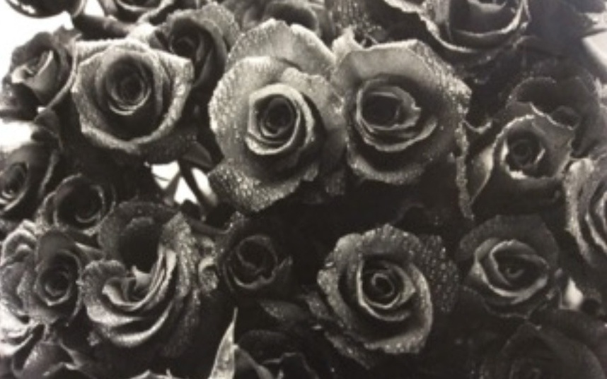 1996年撮影。初めて一眼レフを購入・制作した作品