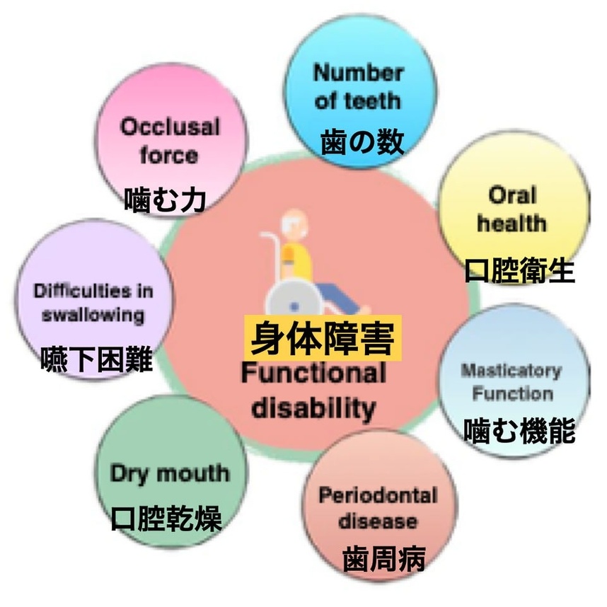 図6 身体障害と口腔の関係性： Dibello V et al.2023（参考文献3）のFigure 2から引用、和訳。