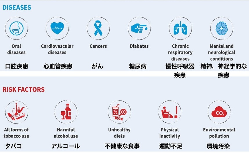 図12 口腔疾患のリスク:World Health Organization,Global oral health status report Towards universal health coverage for oral health by 2030.P17のFigure 9を和訳、引用。