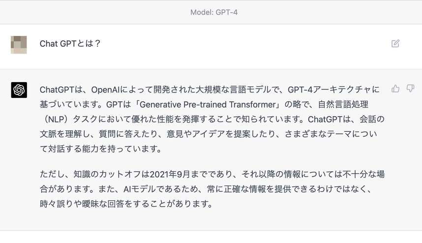 実際のChat GPTの画面