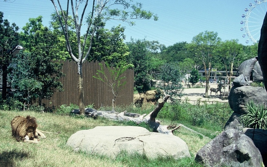 到津の森公園