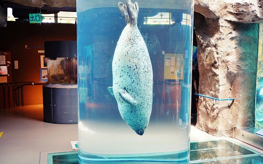 旭山動物園