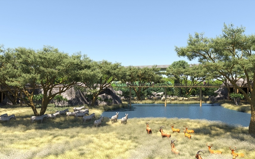 中国 成都天府動植物園国際コンペ 優秀賞 アフリカサバンナの展示