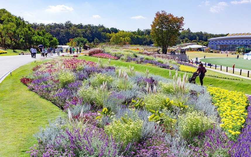 全国都市緑化あいちフェア イングリッシュボーダーミックスの花畑
